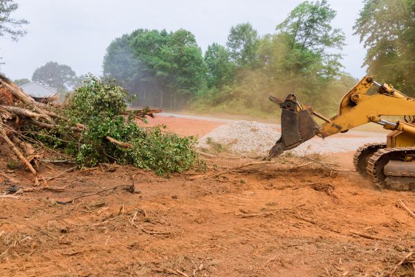 Ground Clearing in Livermore