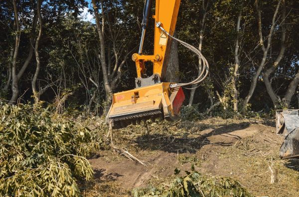Brush Removal Service in Livermore