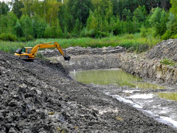 Cost of Lake Lot Clearing in Livermore