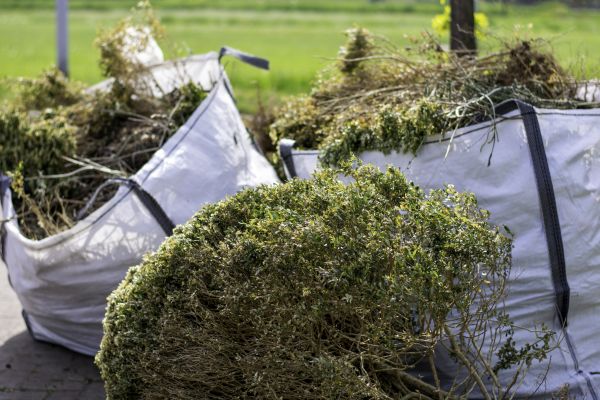 Cost of Bushes Clearing in Livermore