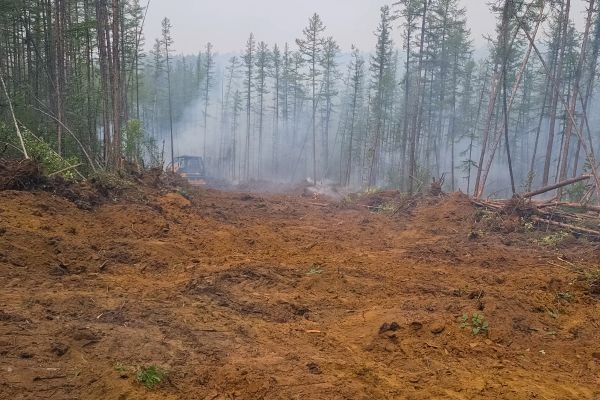 Cost of Hill Clearing in Livermore