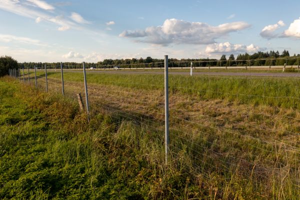 Cost of Property Line Clearing in Livermore