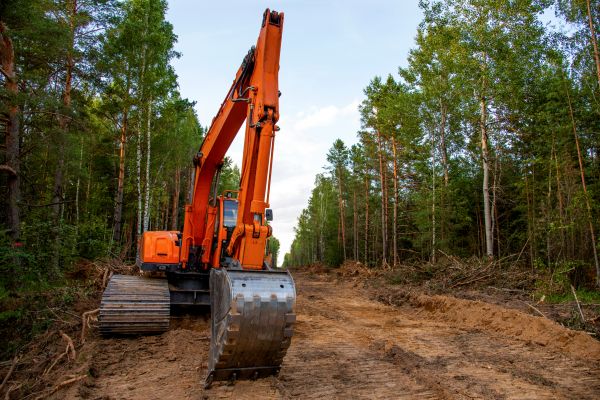 Cost of Backhoe Land Clearing in Livermore