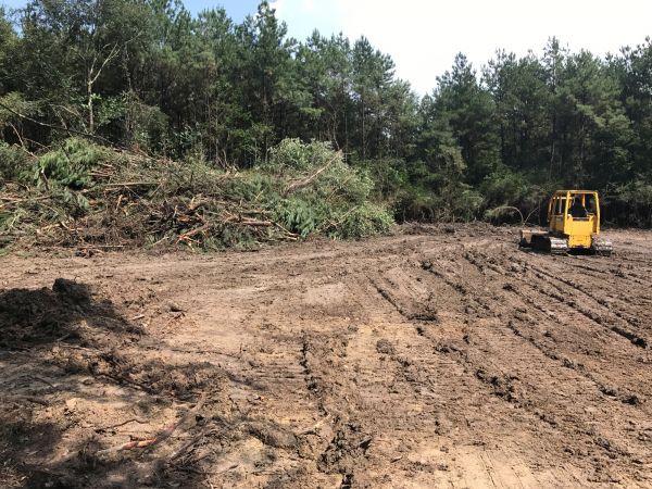 Cost of Thicket Clearing in Livermore