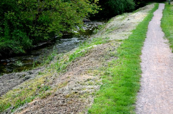 Cost of Trail Cutting in Livermore