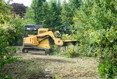 Customized Land Clearing Solutions